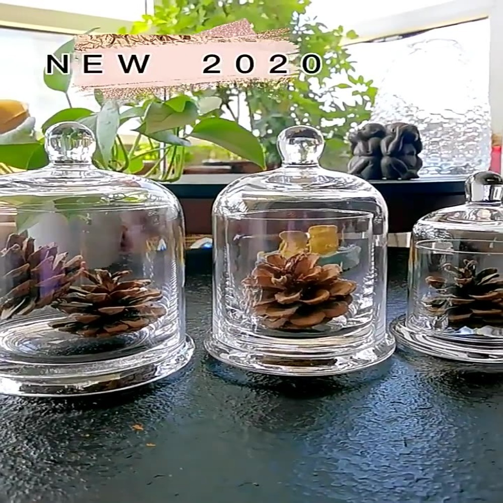 Food Storage In Plants - ガラス製保存瓶 エターナルライフフラワー 8色 アロマセラピーキャンドル ガラスカバー 食品・植物ディスプレイ