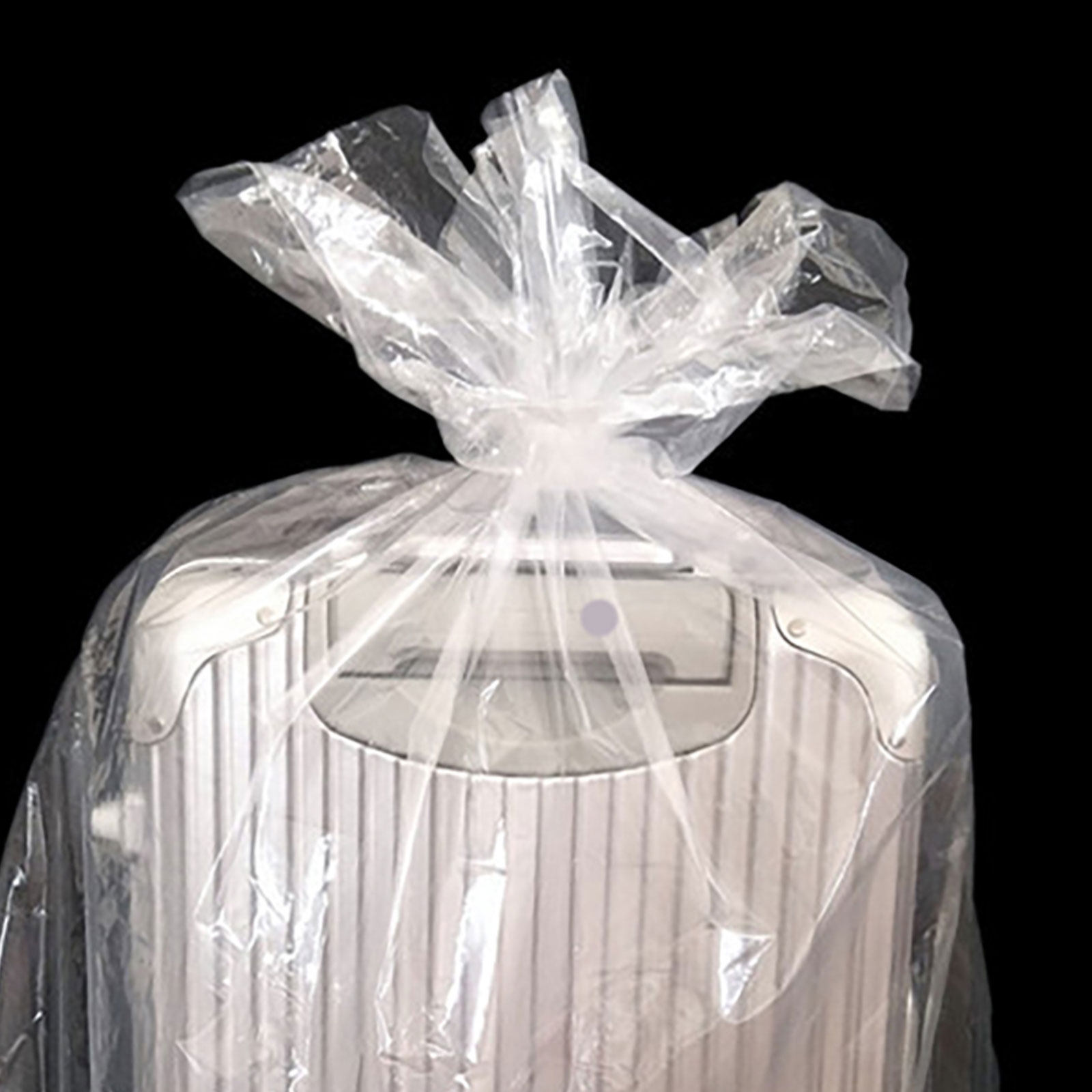 10枚入り 50x80cm 透明PE製平型収納袋 食品に安全 - Food Storage Safe のレビューと価格